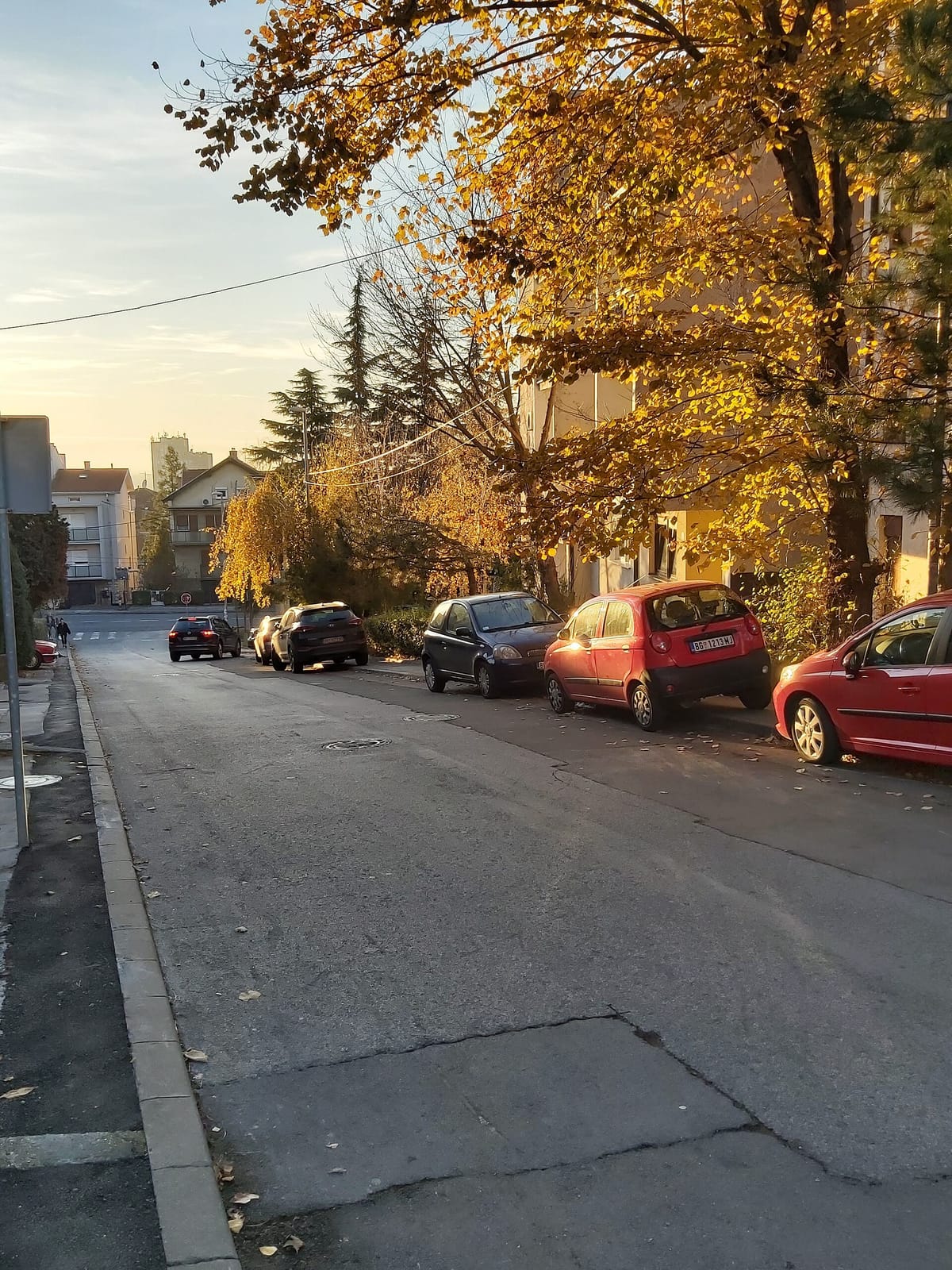 Blagoje photo 2