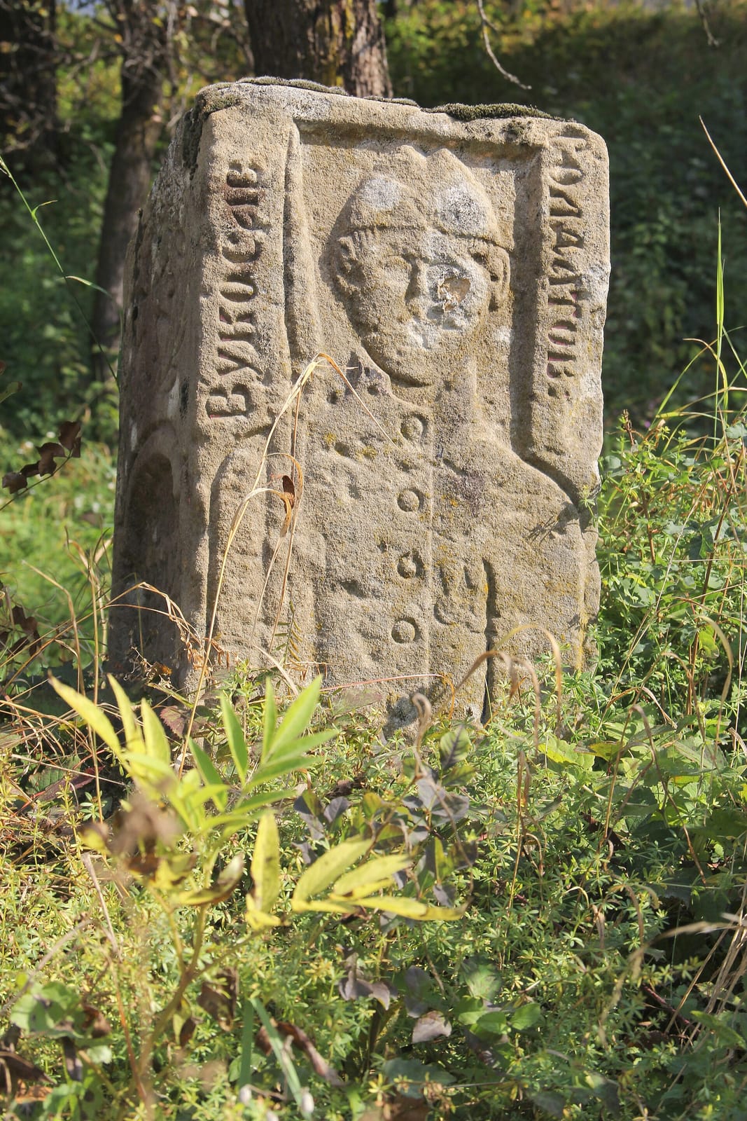 Ogi photo 3