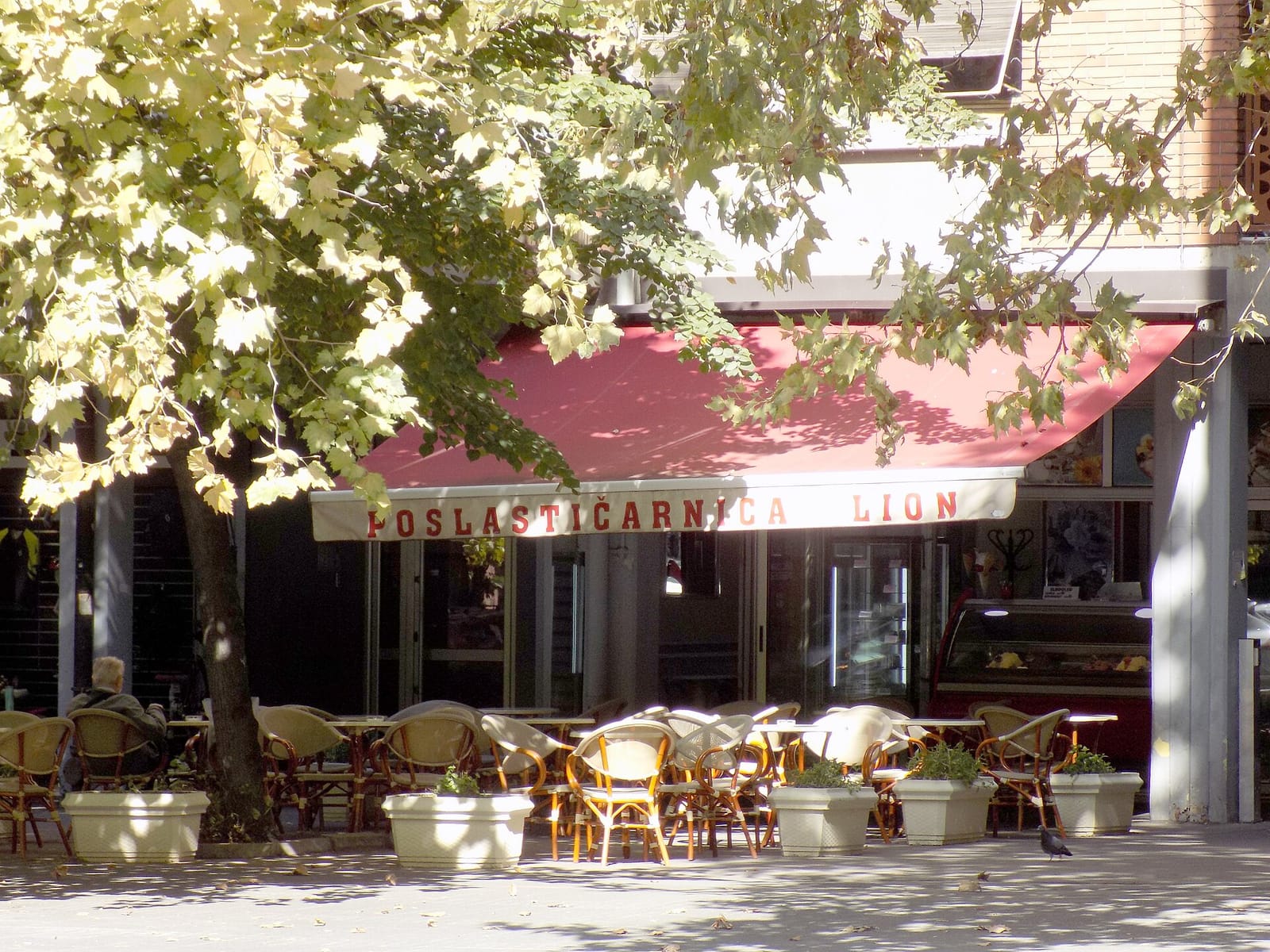 Caffe Zlatna Kornjača photo 3