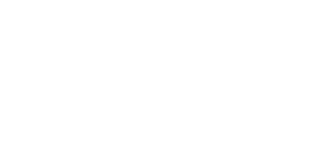 Lucky Duck photo 2