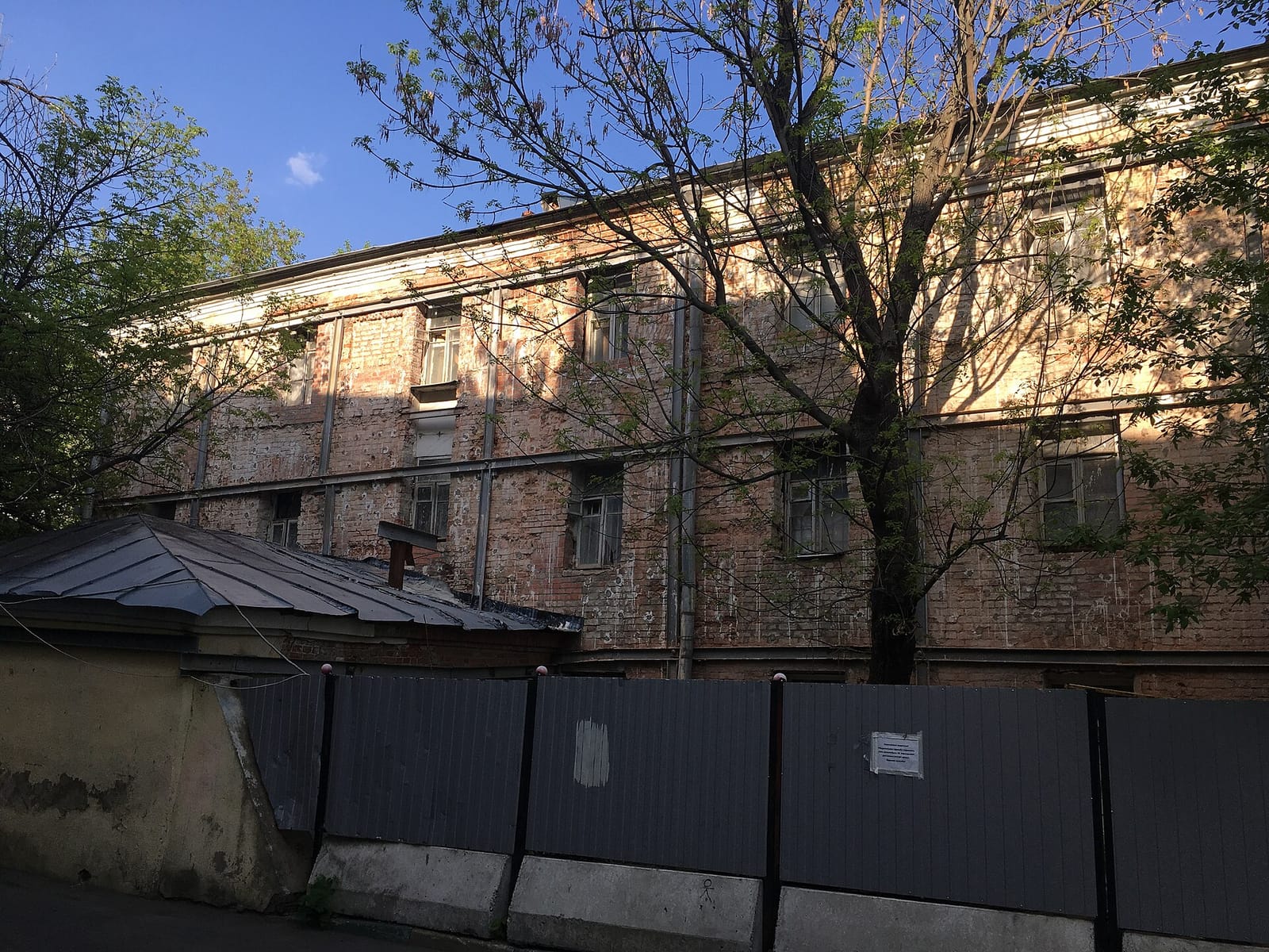 Сыр & кофе photo 4