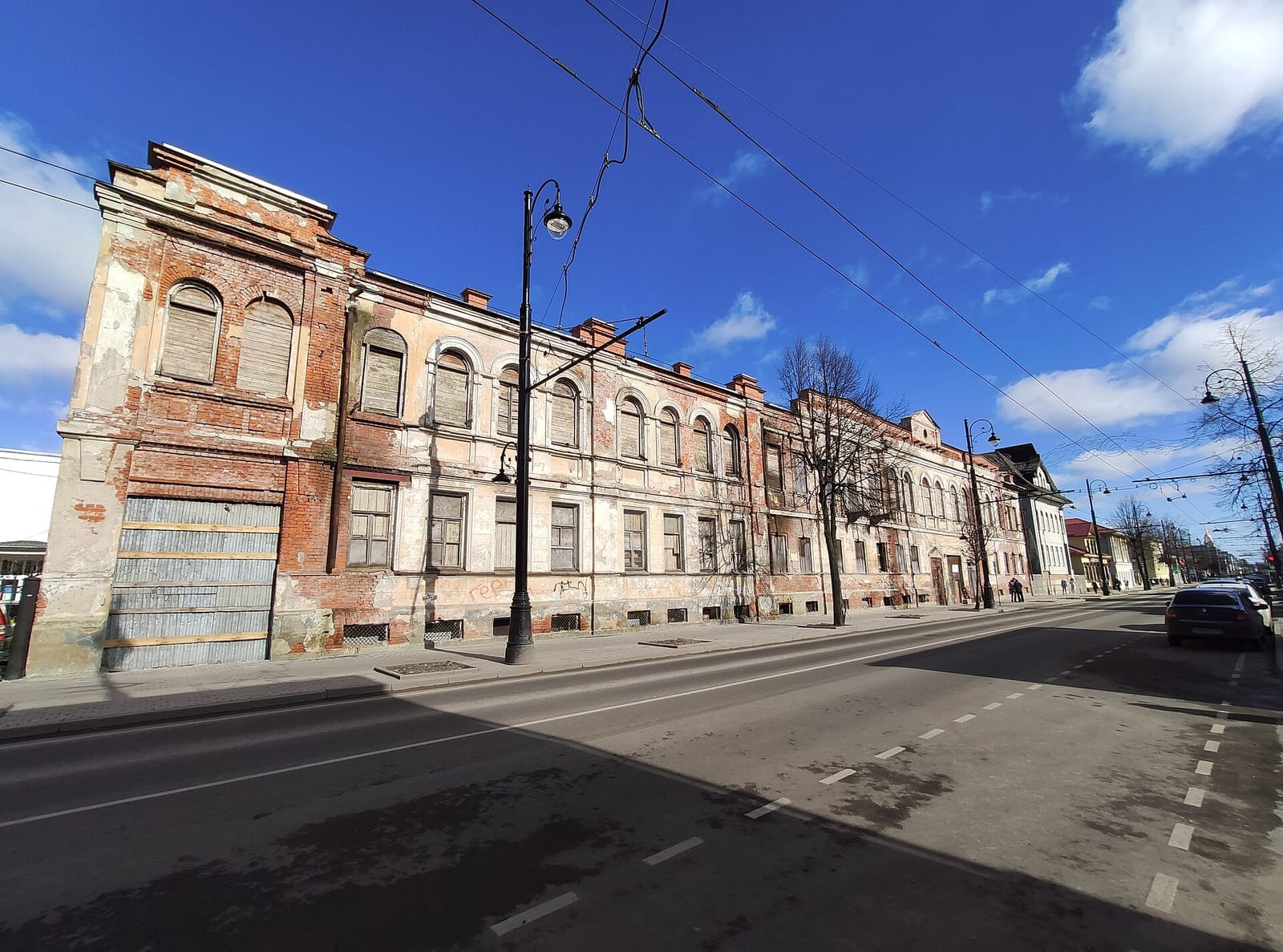 33 пингвина photo 2