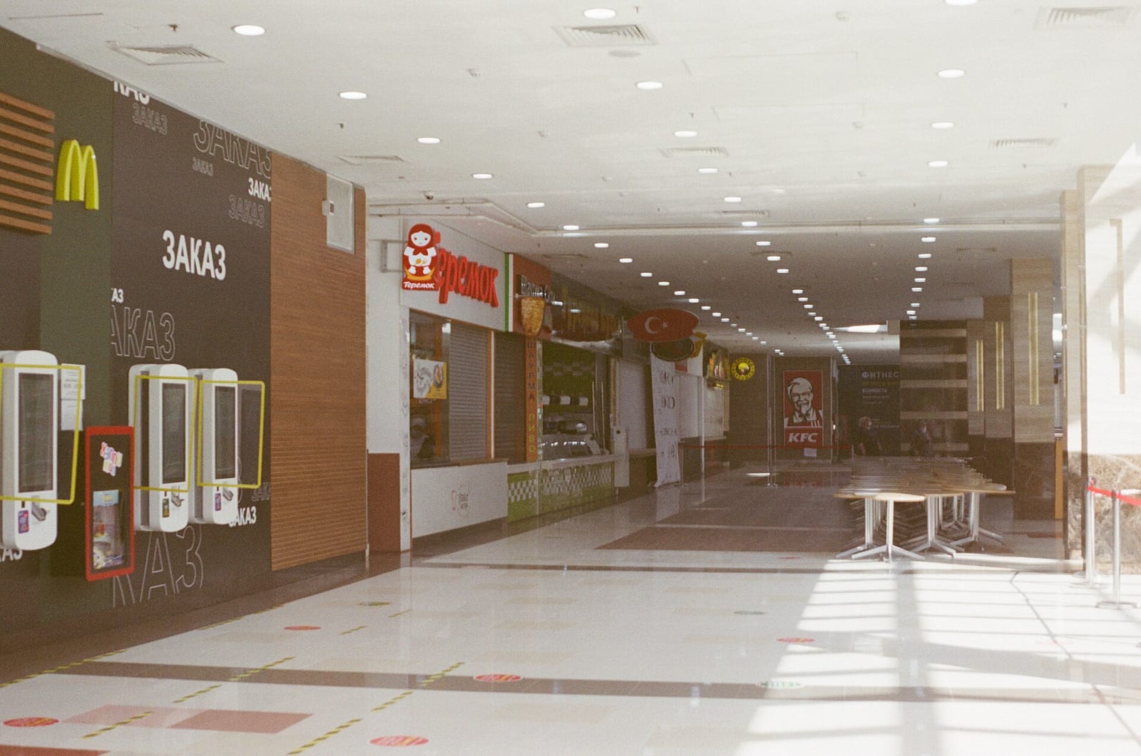 33 пингвина photo 2