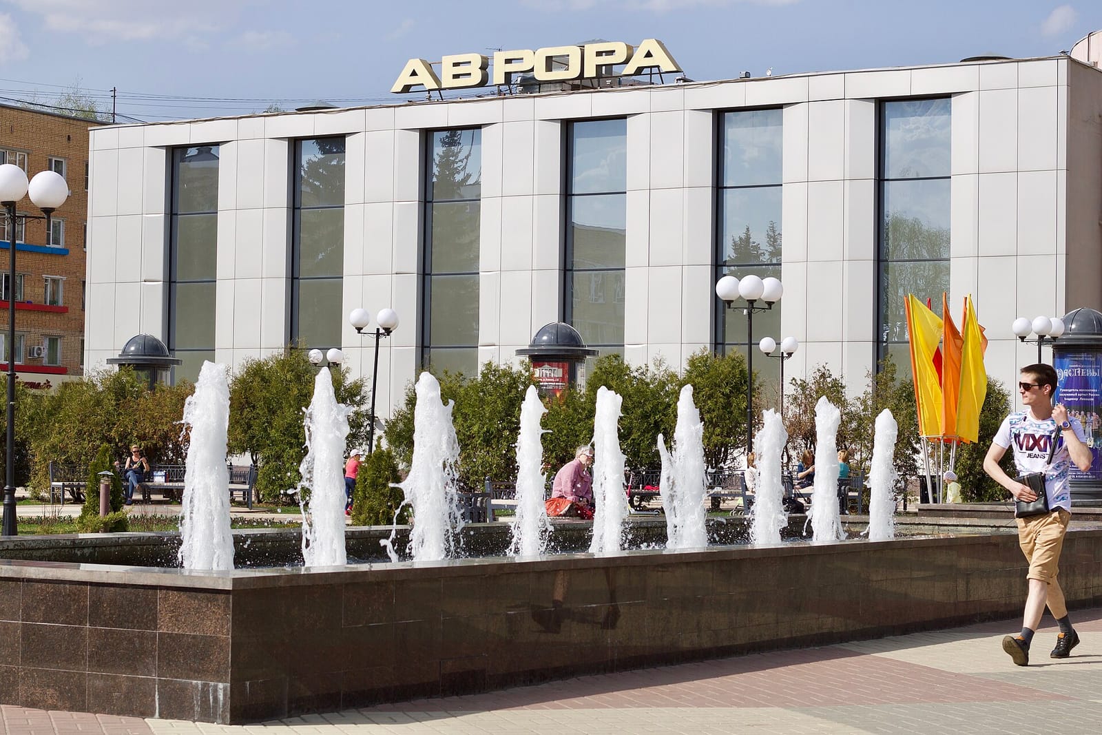 33 пингвина photo 2