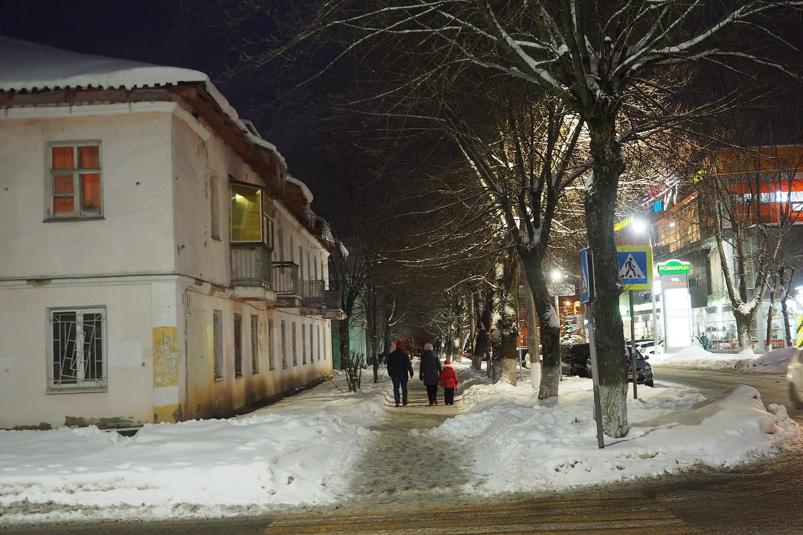 33 пингвина photo 3