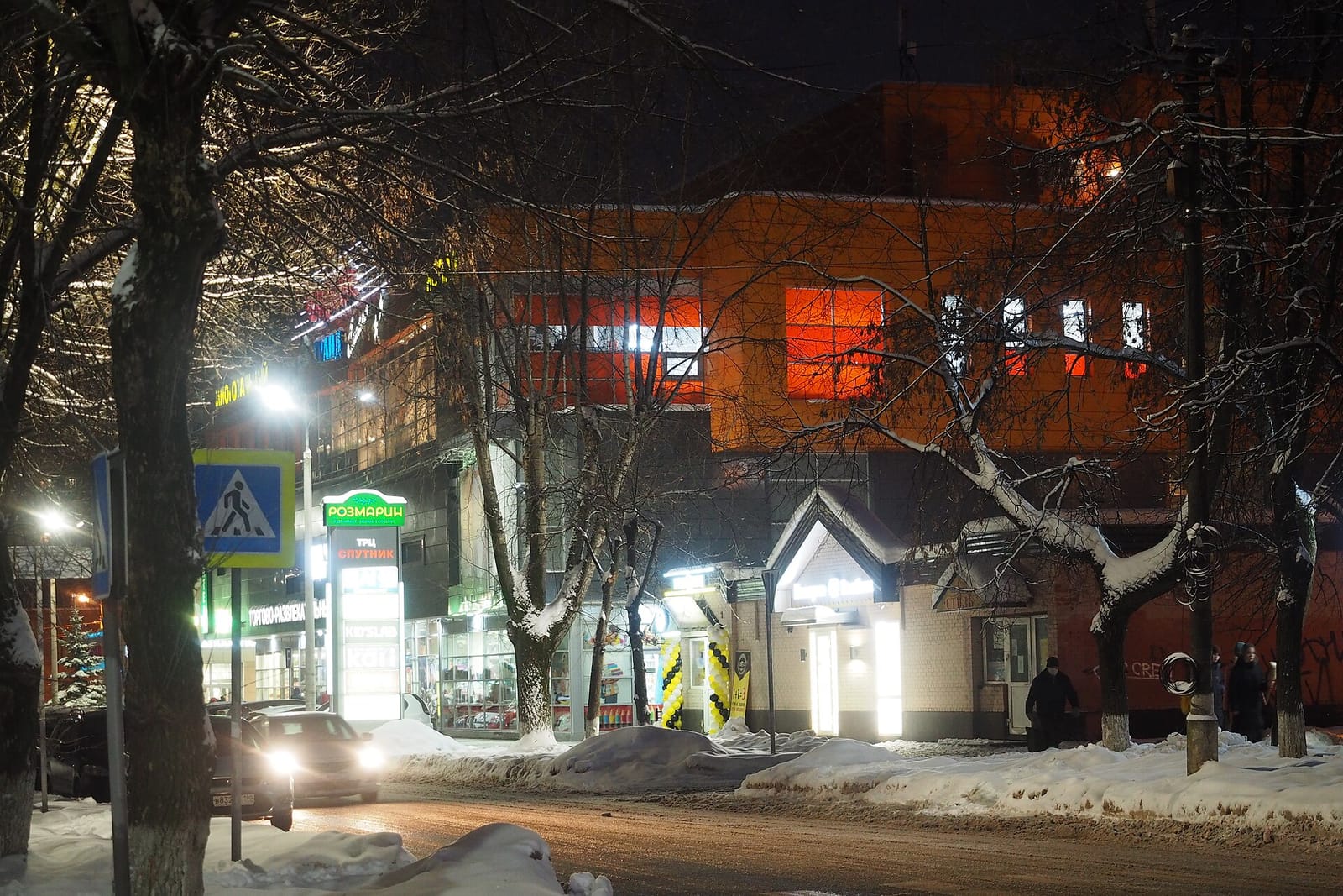 33 пингвина photo 2