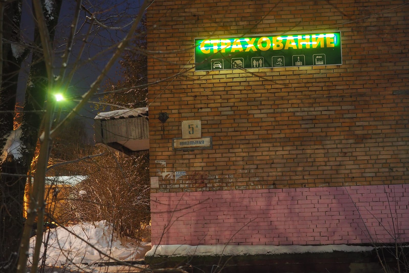 33 пингвина photo 5