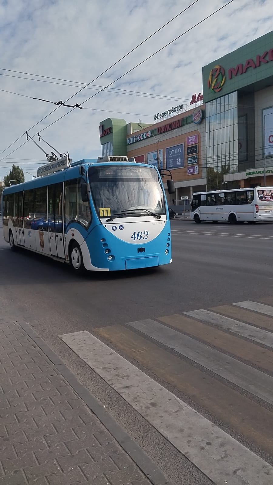 33 пингвина photo 2