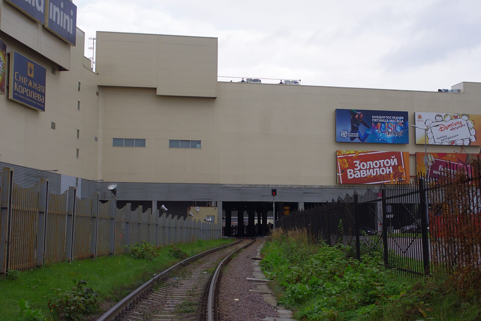 33 пингвина photo 3