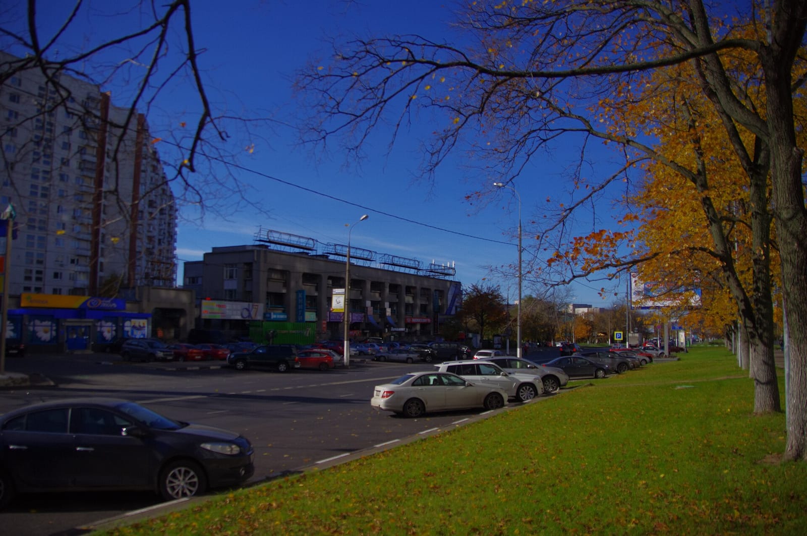 Jeffreys coffeeshop photo 2