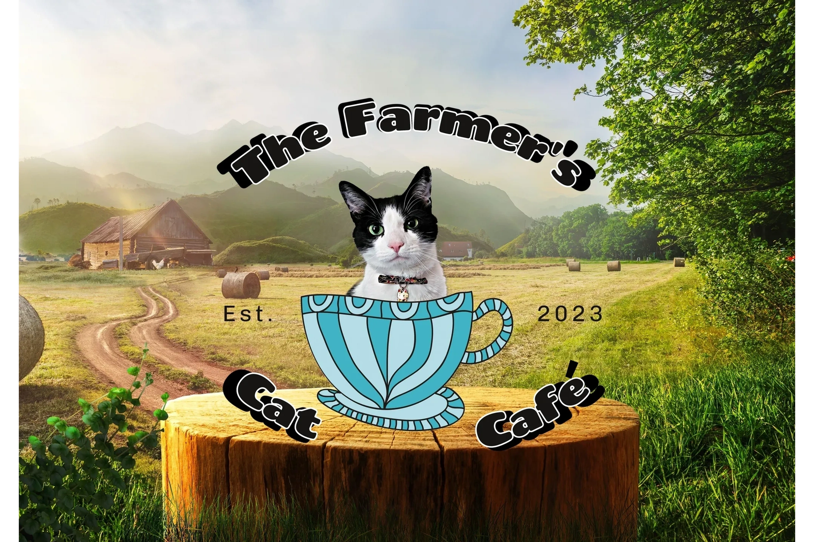 The Farmer's Cat Cafe