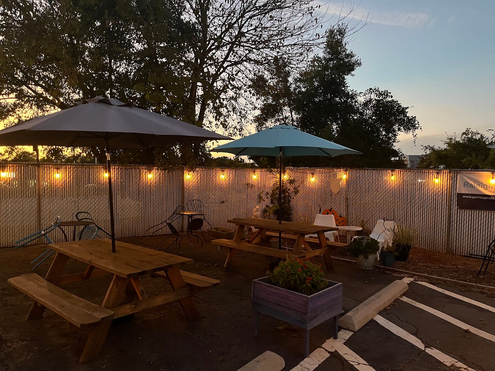 Purr Cup Cafe