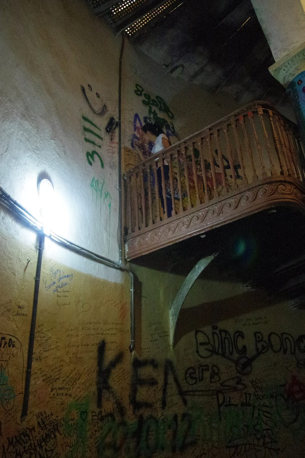 3 Гнома photo 4