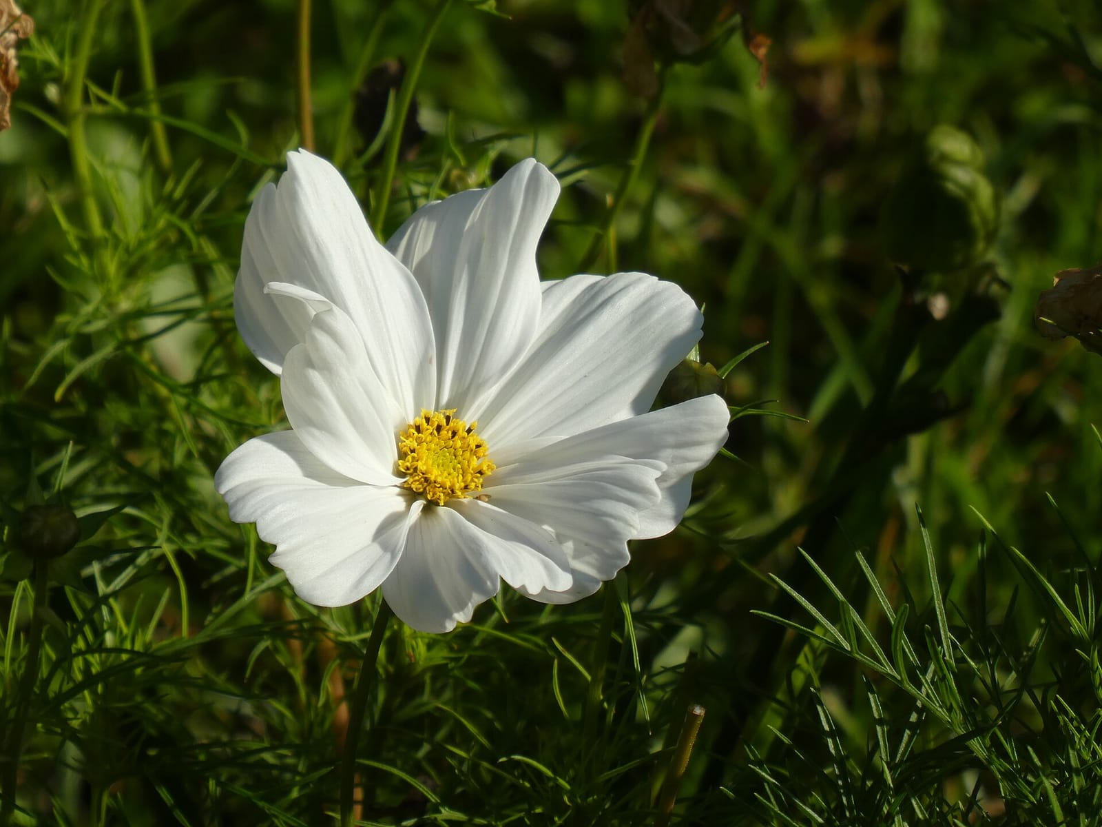 Цех85 photo 4