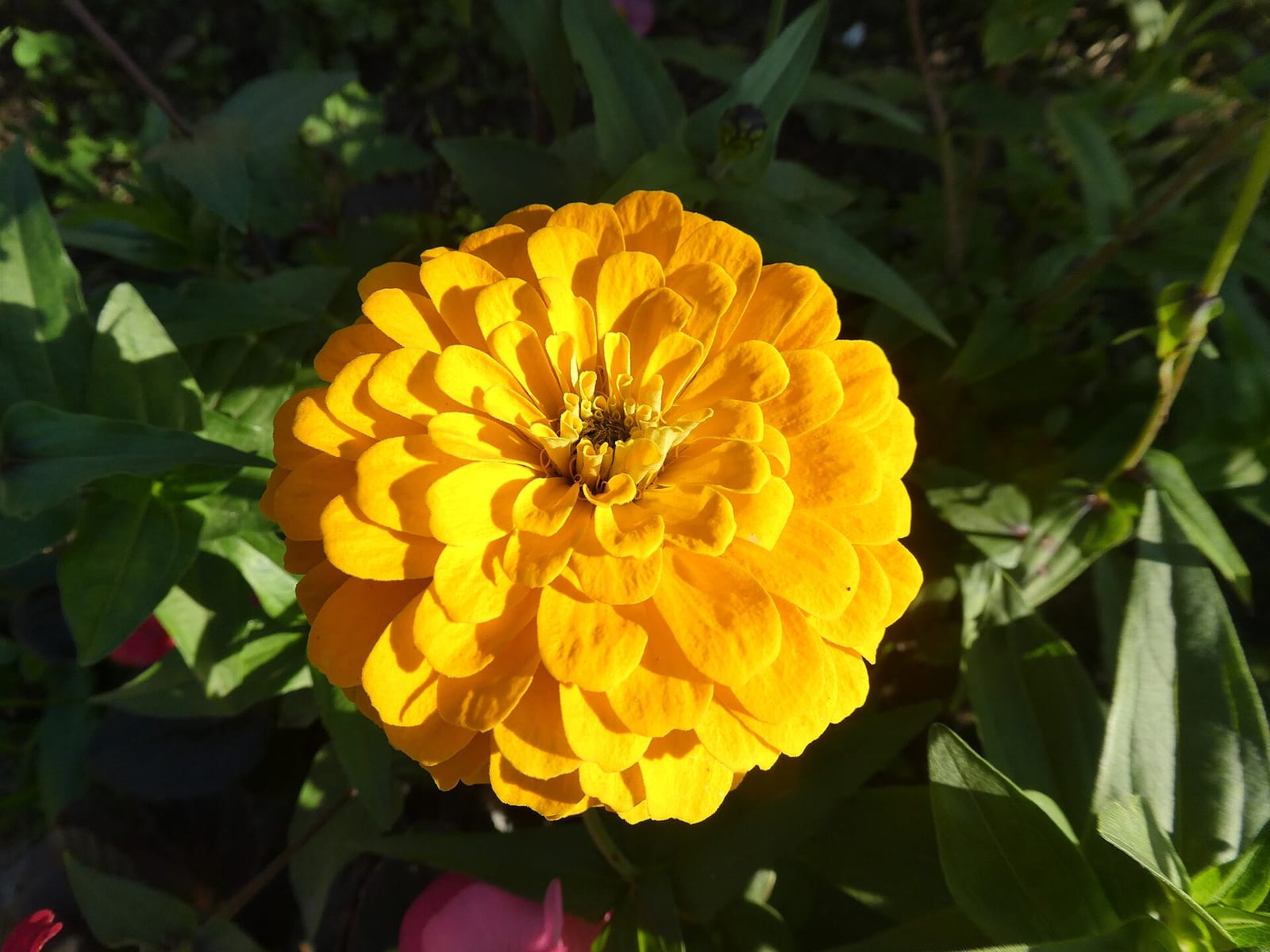 Цех85 photo 3