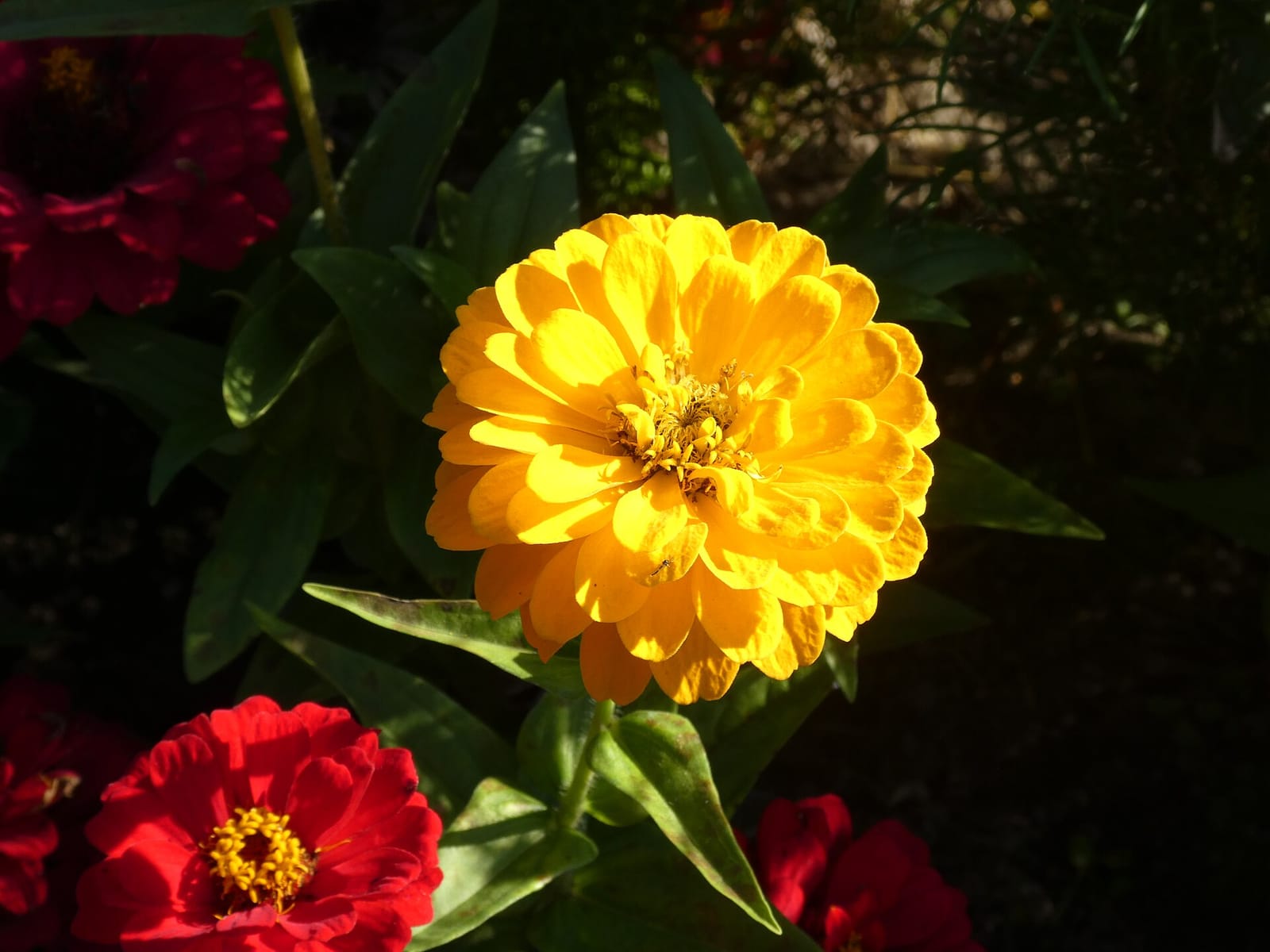 Цех85 photo 2