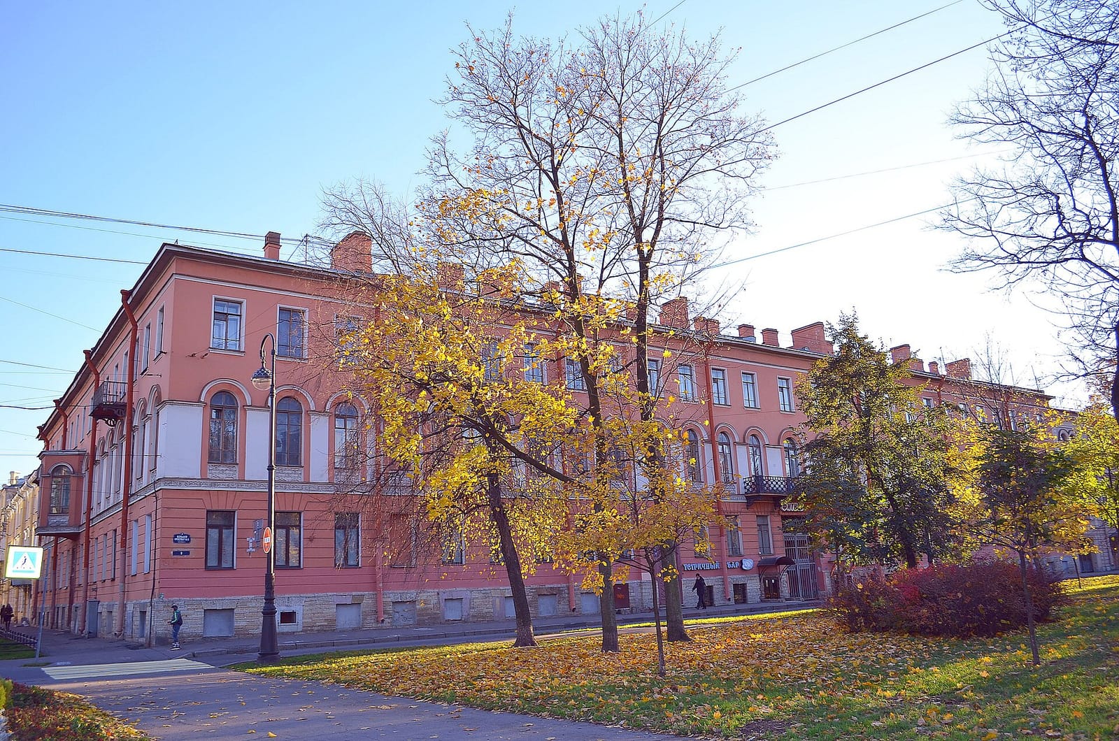 Academia photo 4
