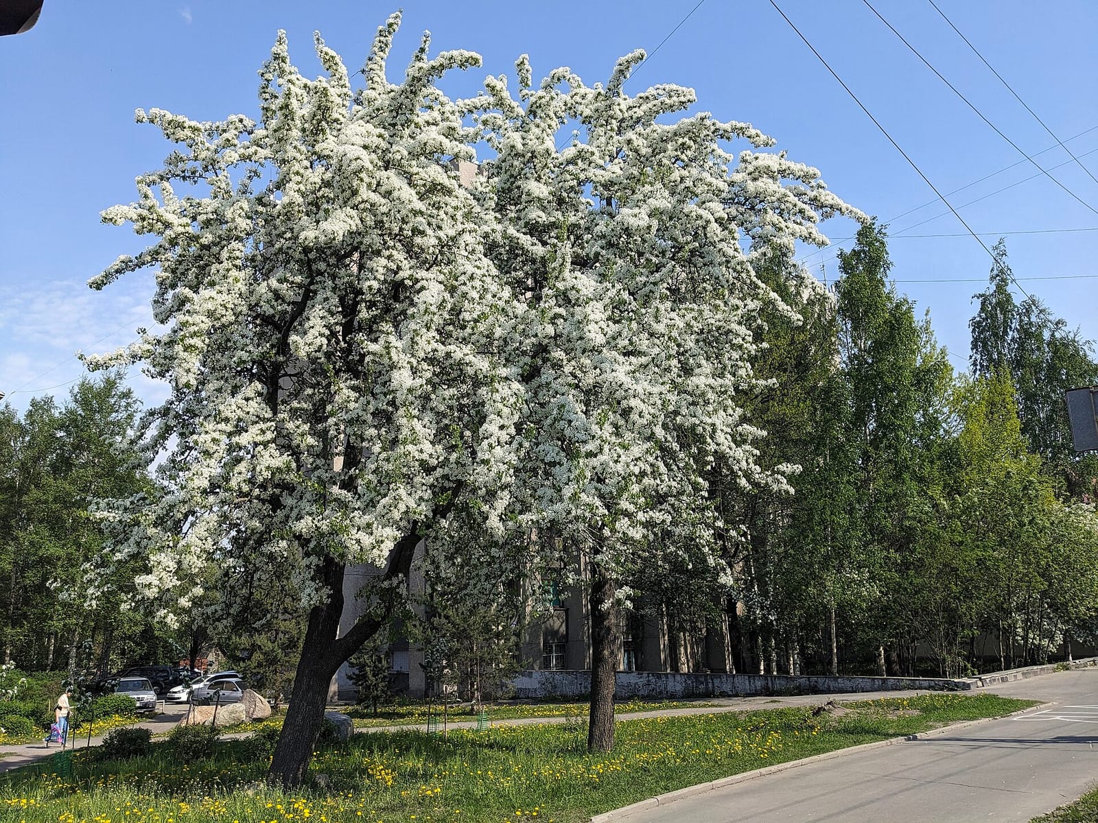 Кофейня Kahvi&Salaatti photo 2