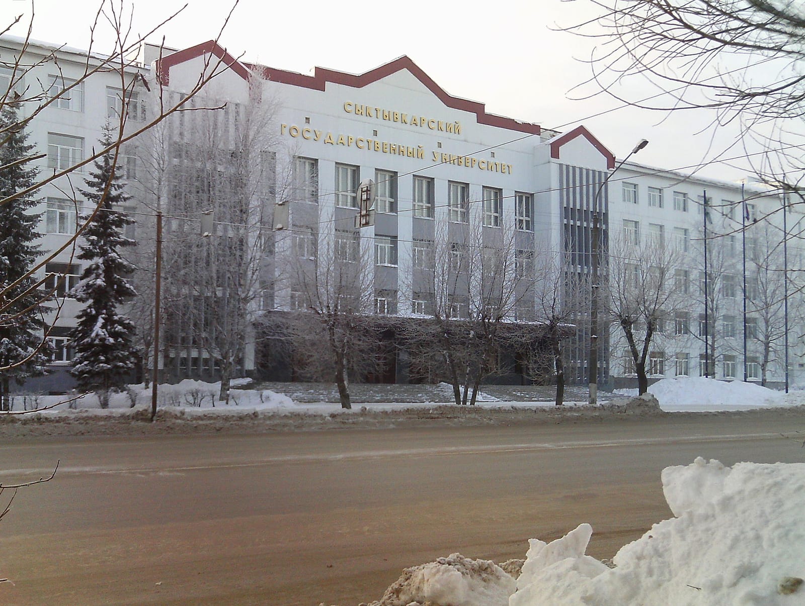 MakBush photo 2
