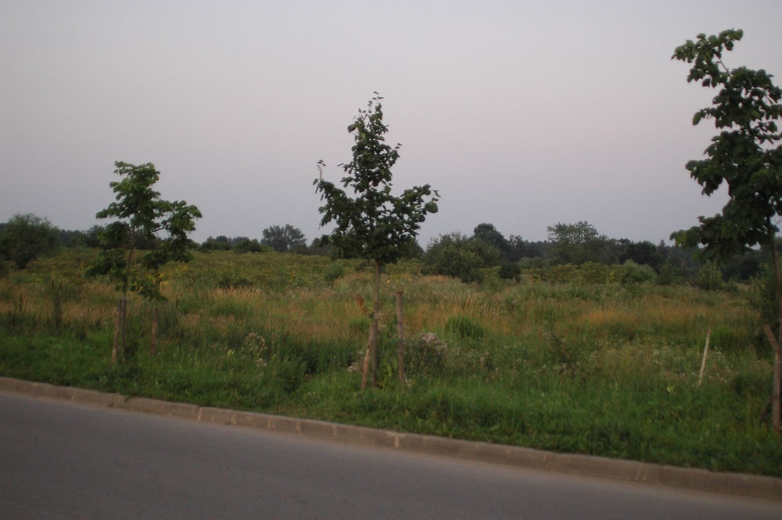 Цех85 photo 2