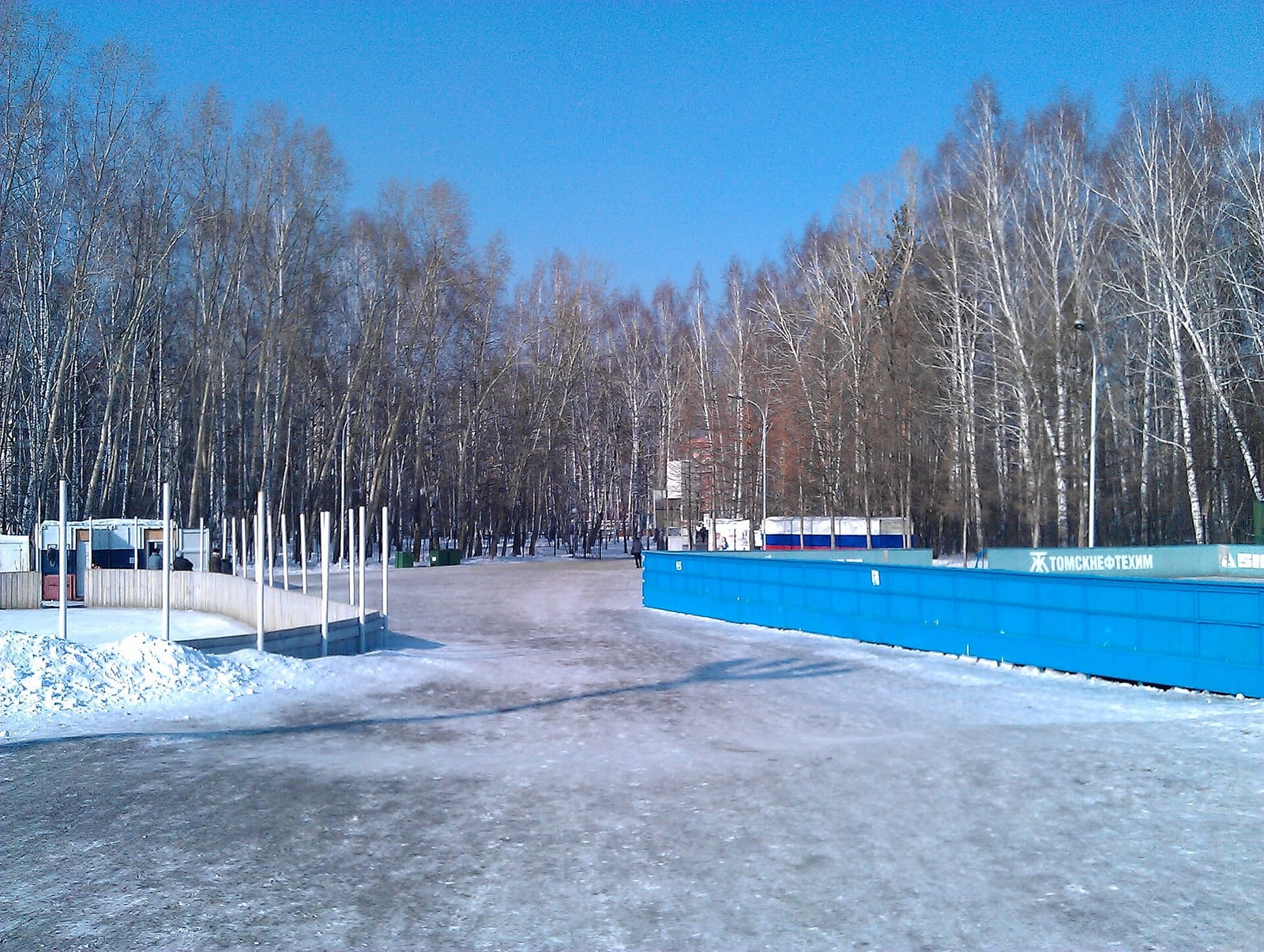 33 пингвина photo 3