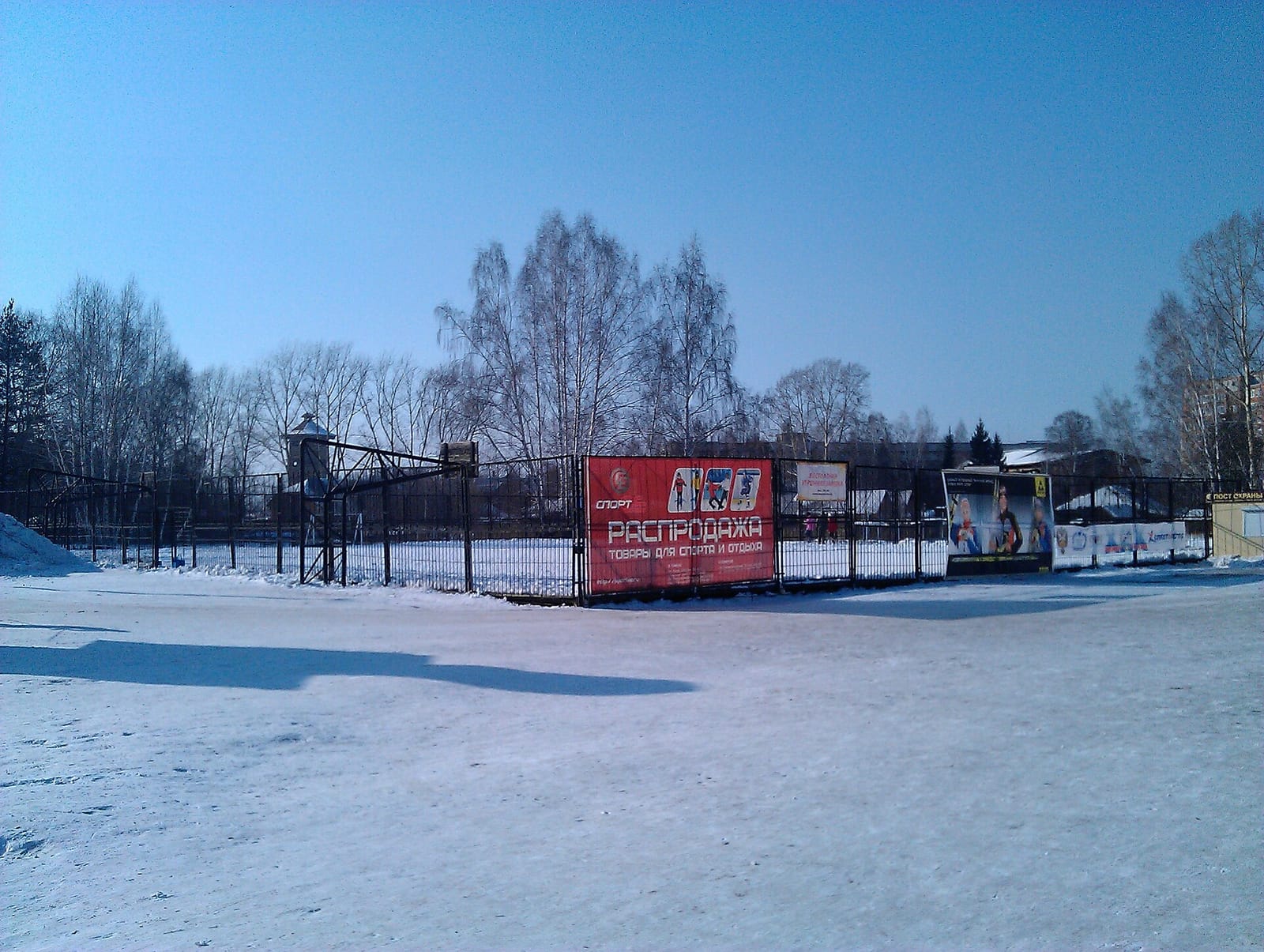 33 пингвина photo 2
