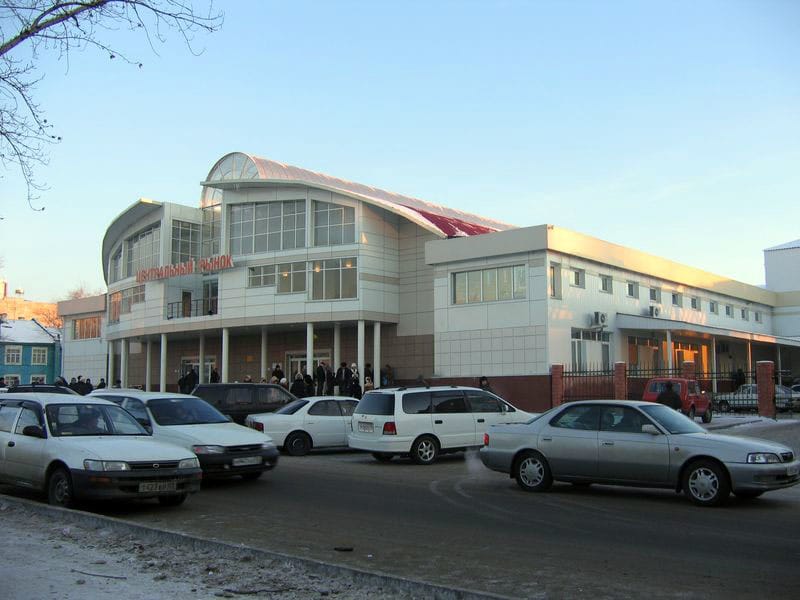 33 пингвина photo 2