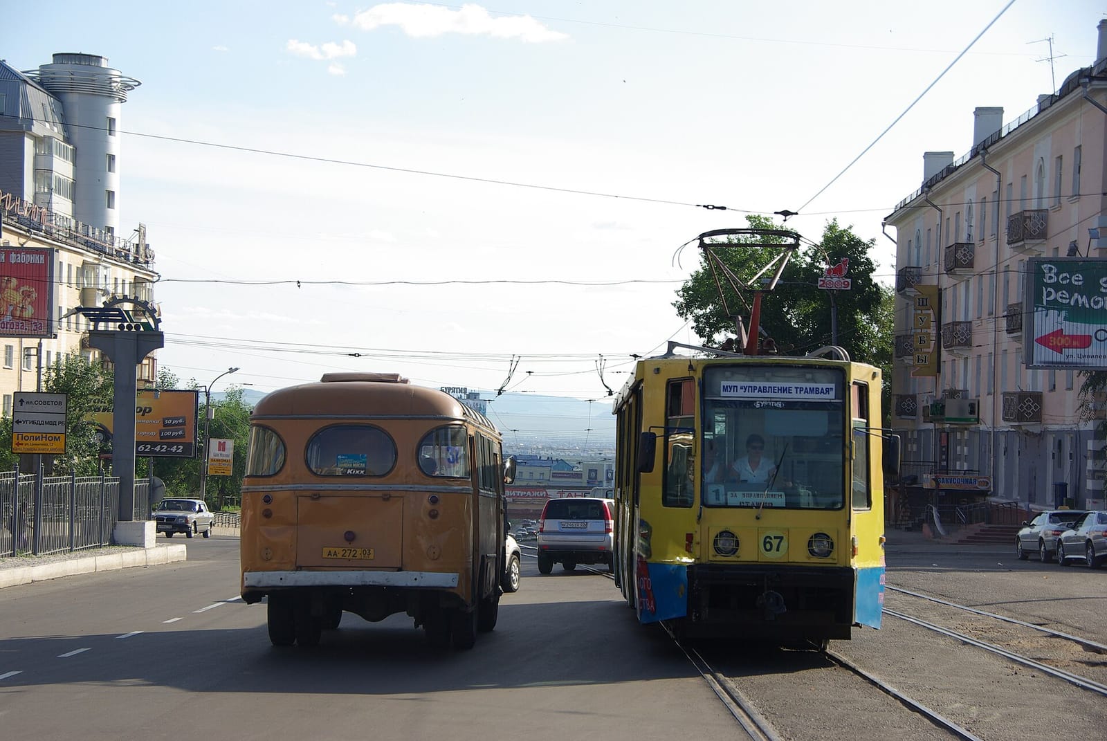 33 пингвина photo 2