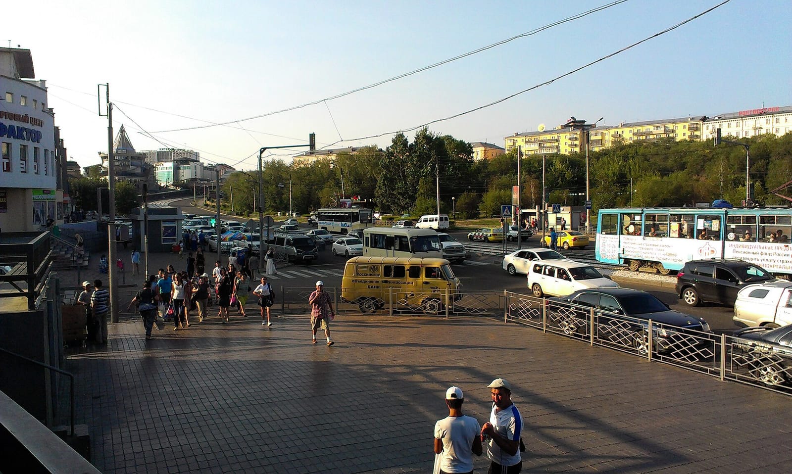 33 пингвина photo 3