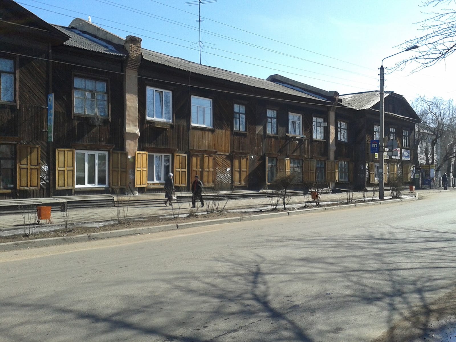 33 пингвина photo 2