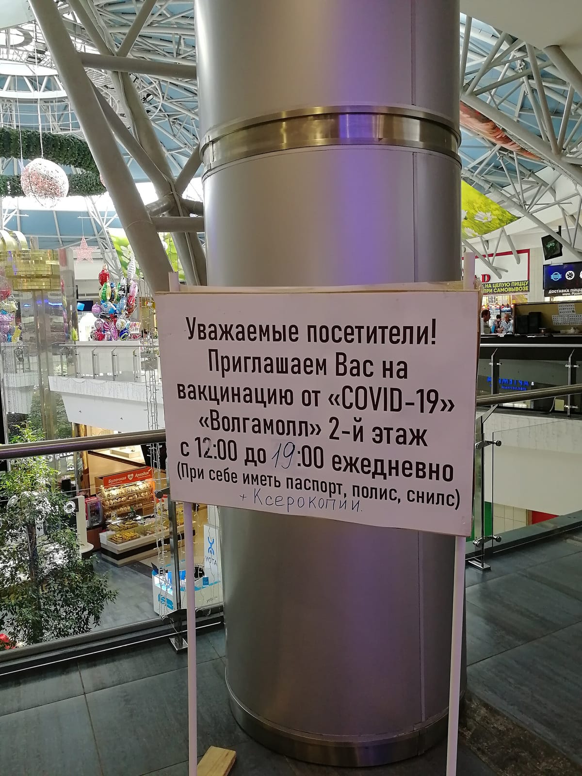 33 пингвина photo 2