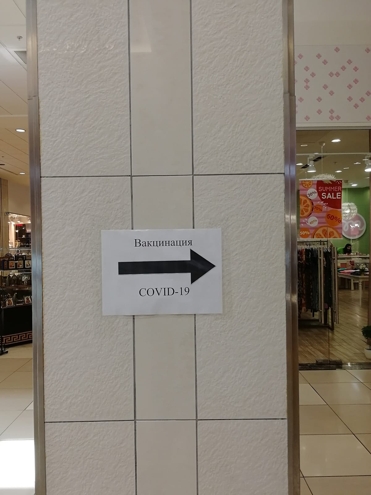 33 пингвина photo 3