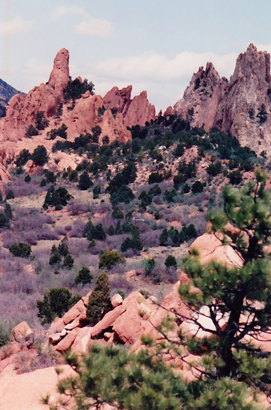 Balanced Rock Cafe photo 3