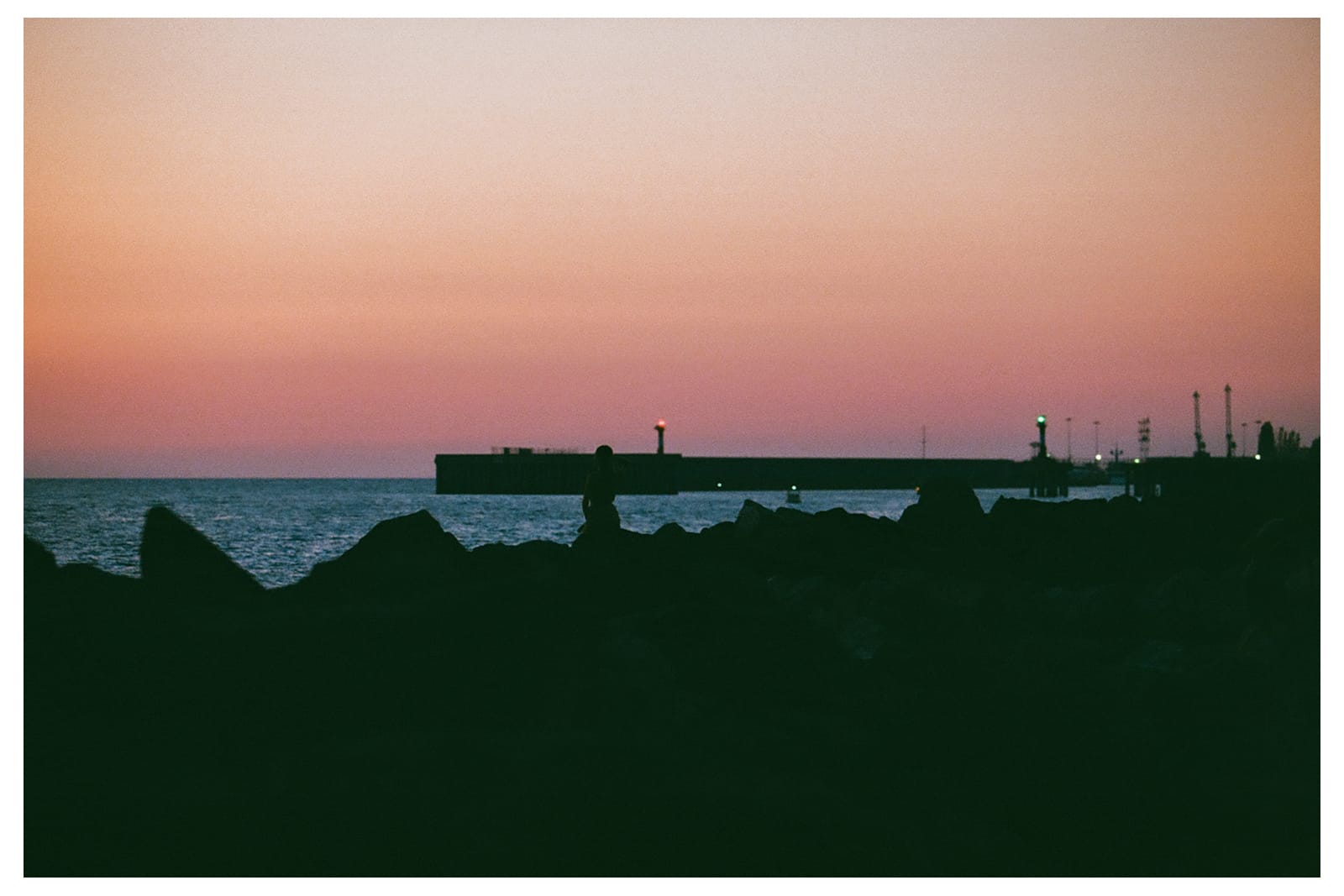 Surf Coffee photo 2