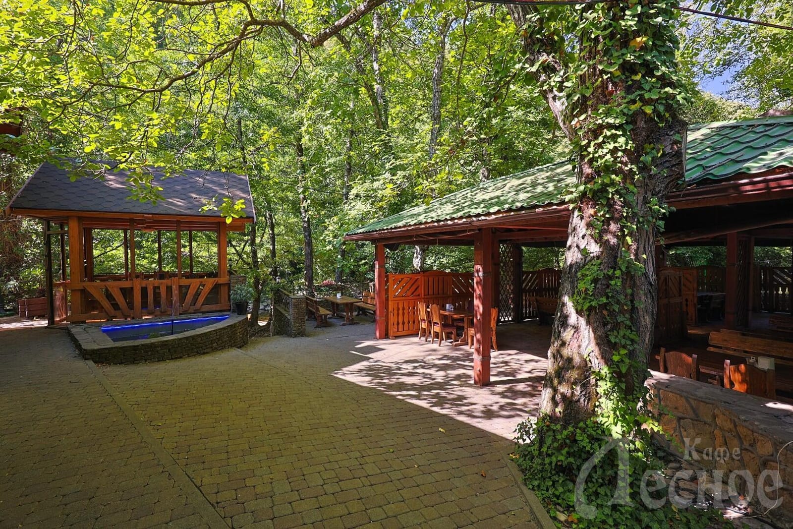 Лесное 2 photo 2