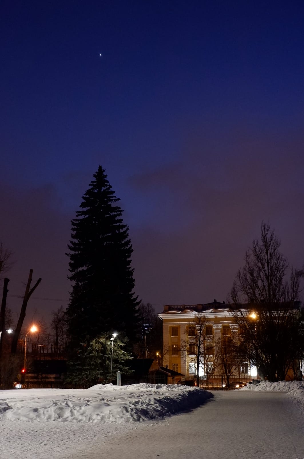 Brodsky photo 5