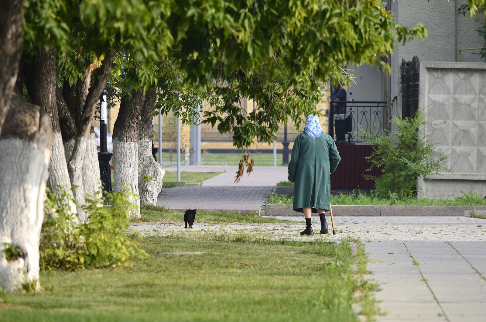 33 пингвина photo 2