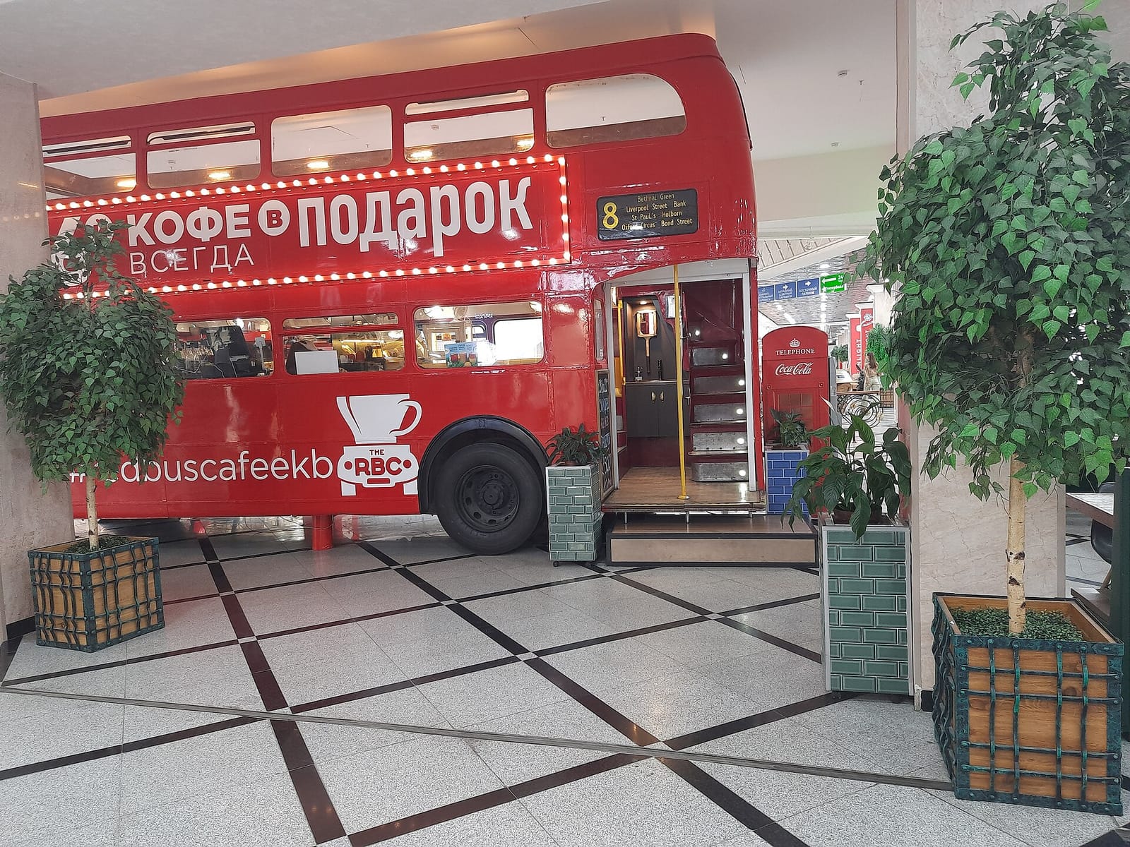 33 пингвина photo 4