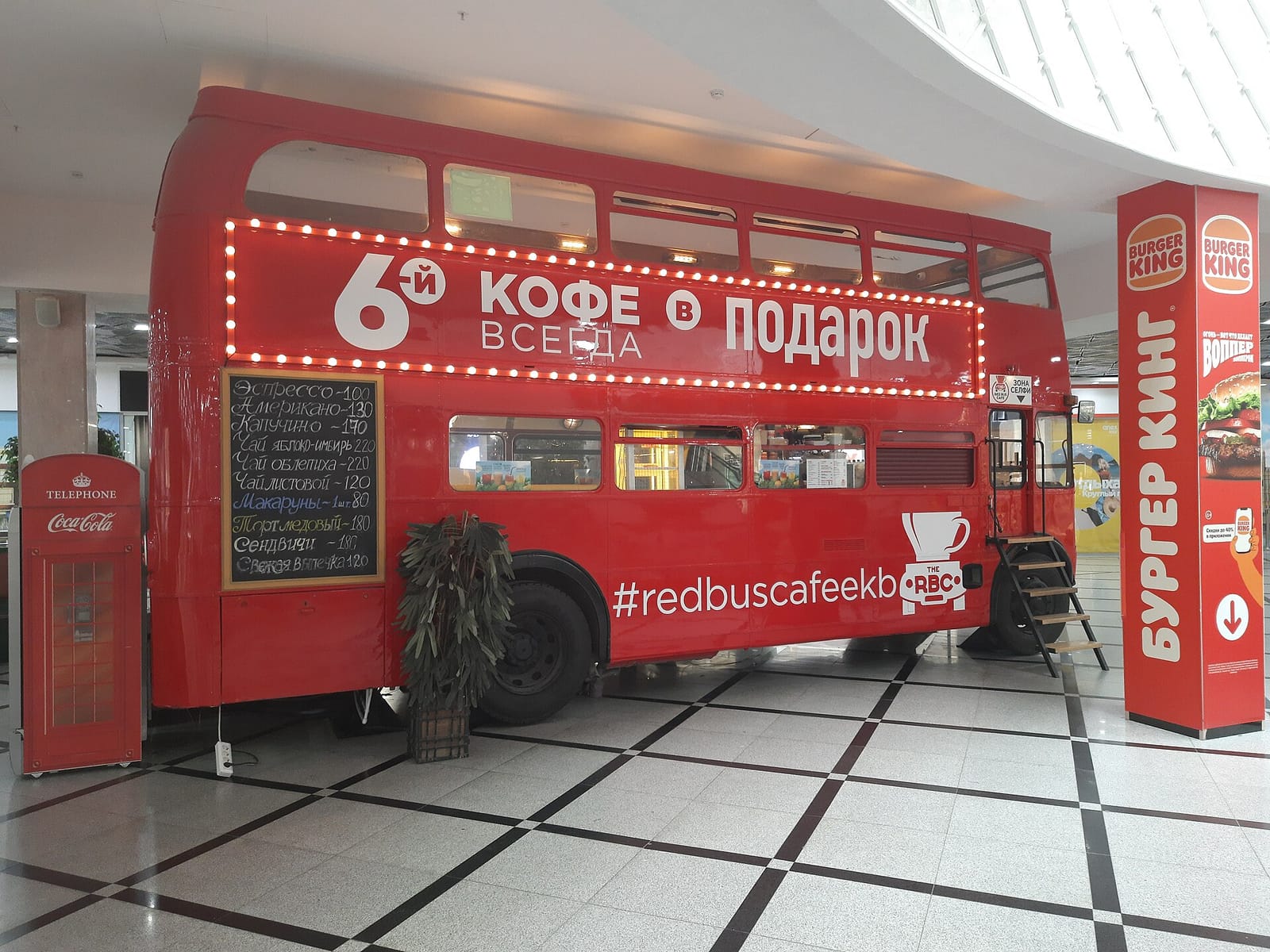 33 пингвина photo 3