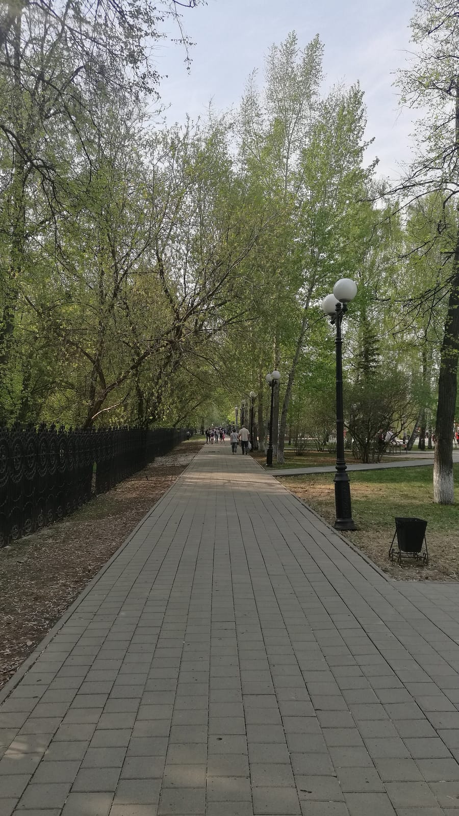 Garden Coffee photo 3