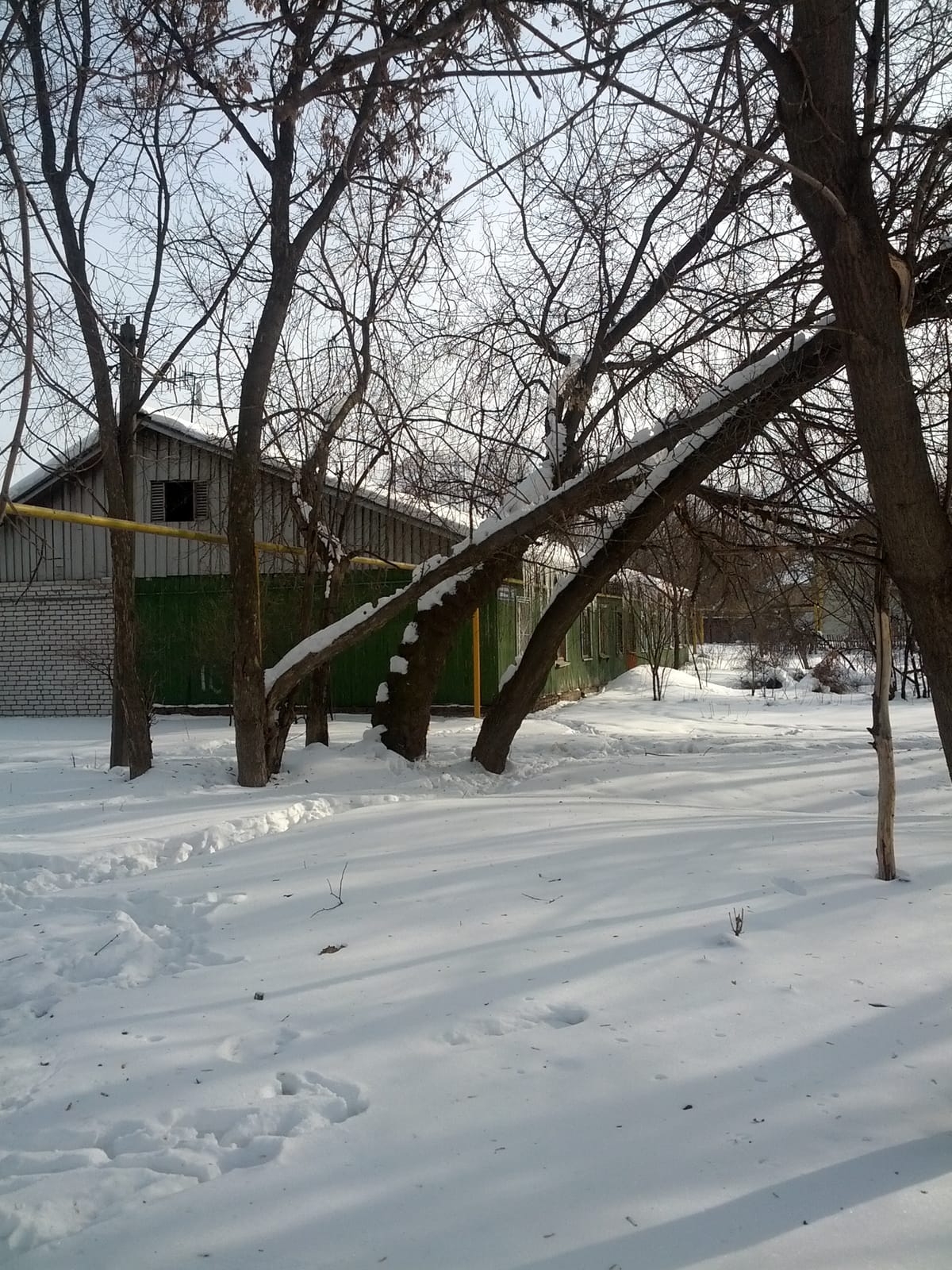 7 Хаус photo 3