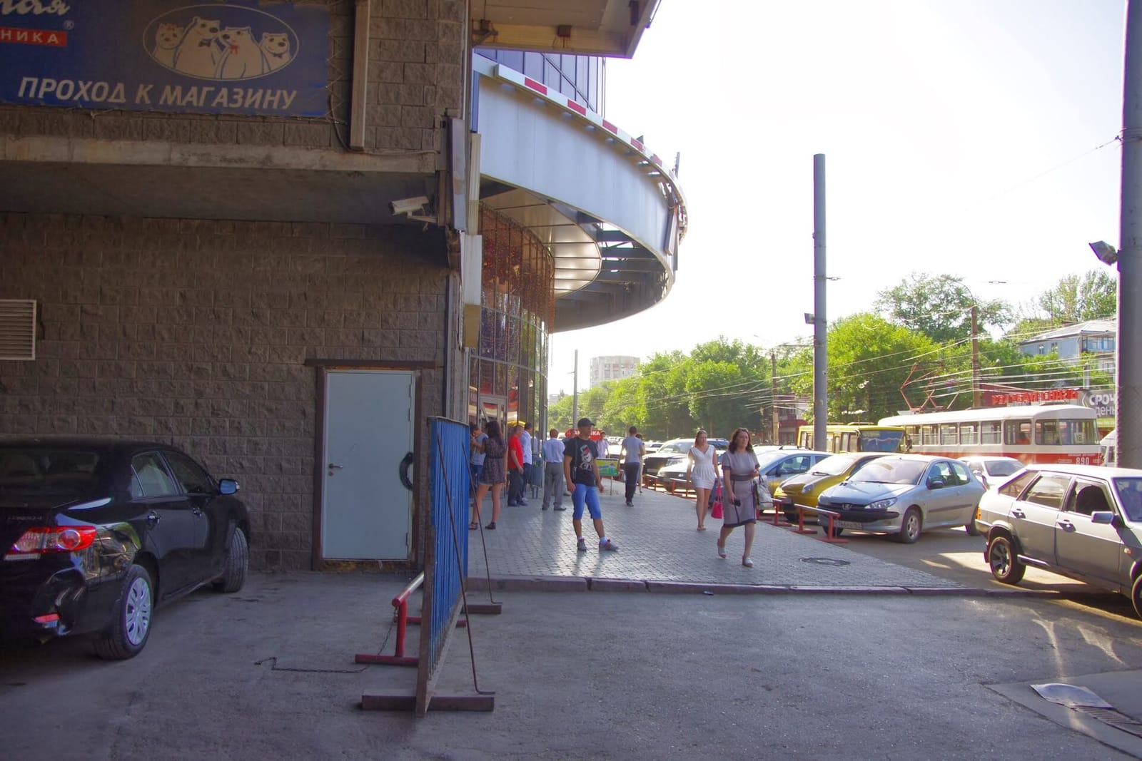 33 пингвина photo 3