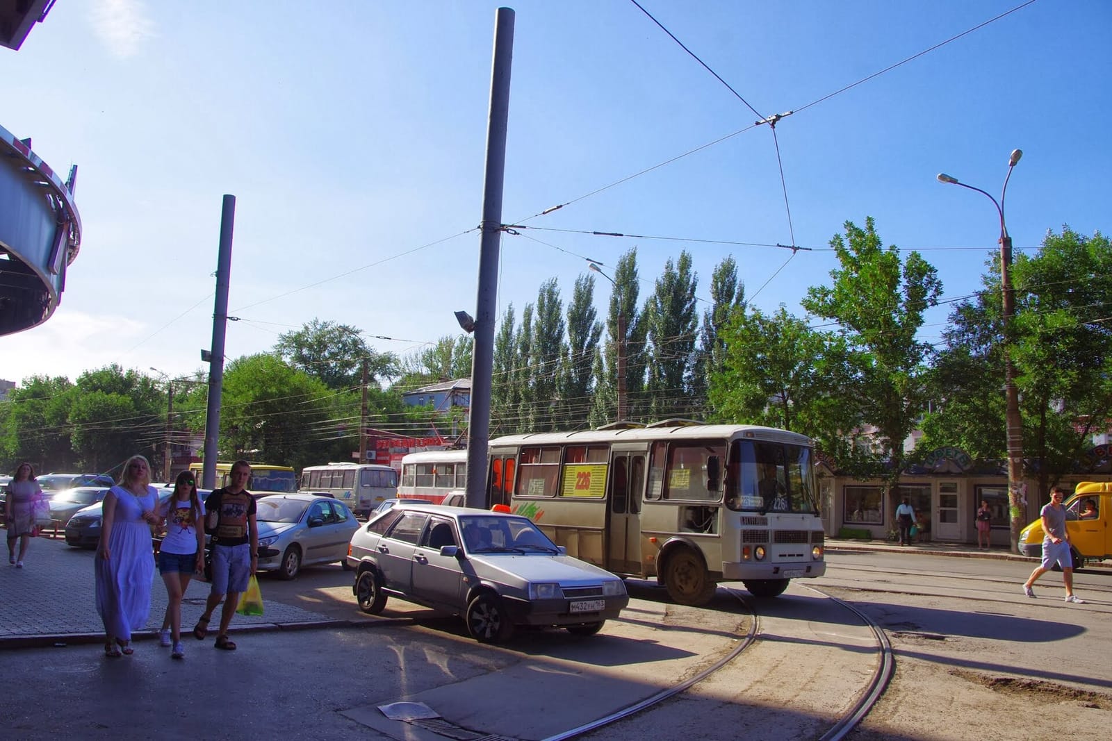 33 пингвина photo 2
