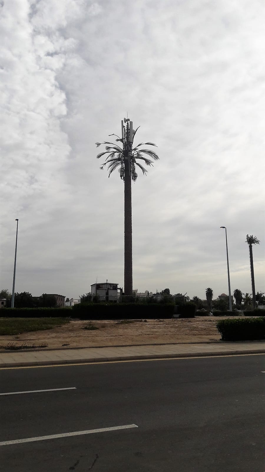 50degrees photo 2