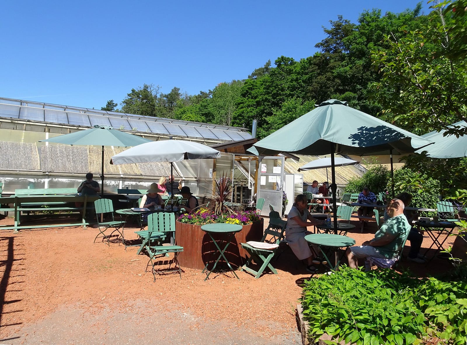 Brunnsvikens Trädgård & Café photo 3