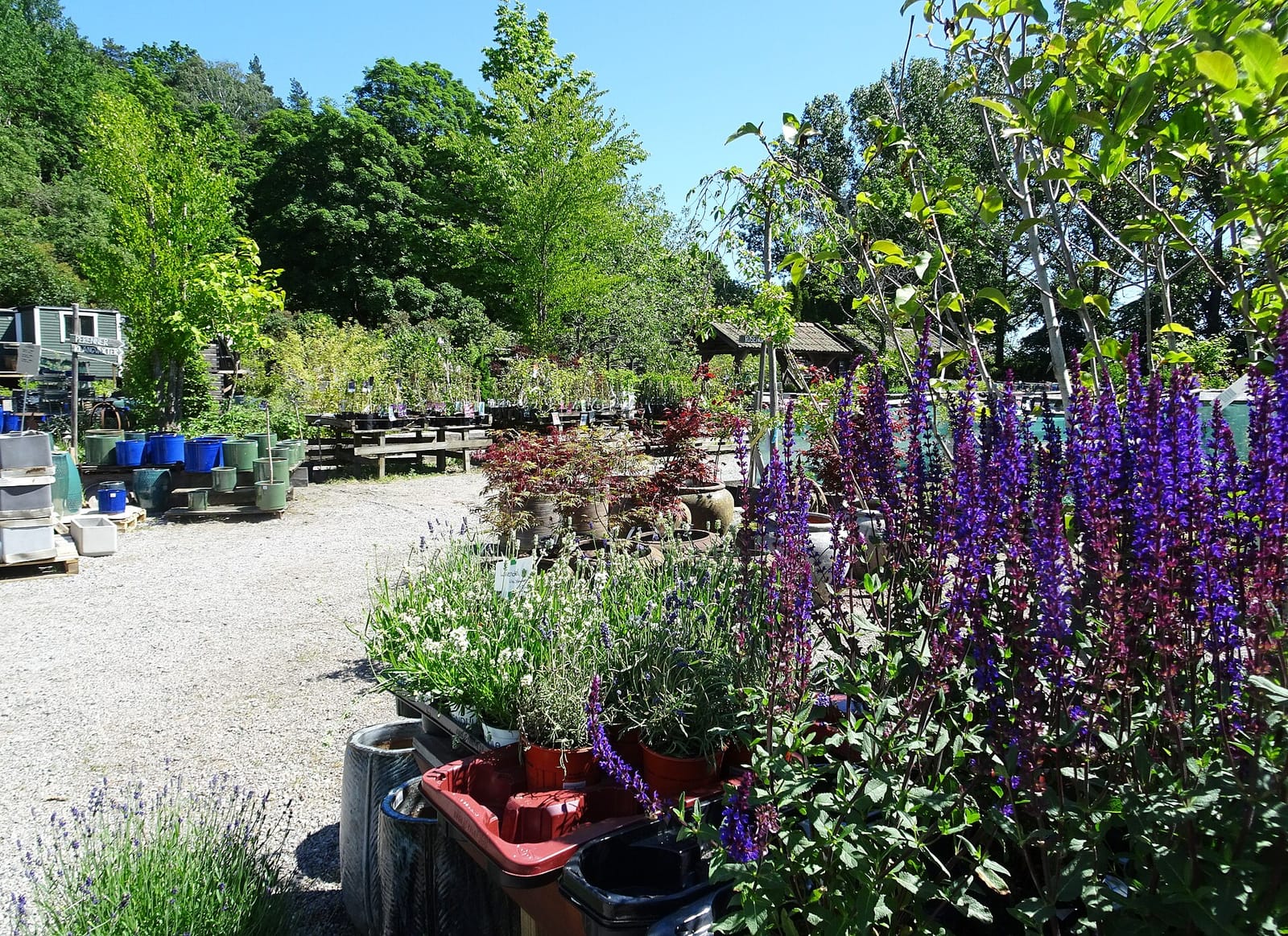Brunnsvikens Trädgård & Café photo 2