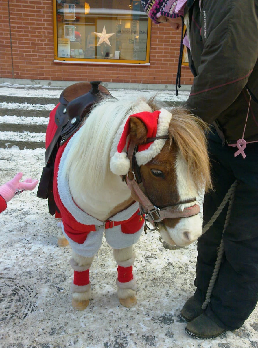 Bageri Ekerö photo 2
