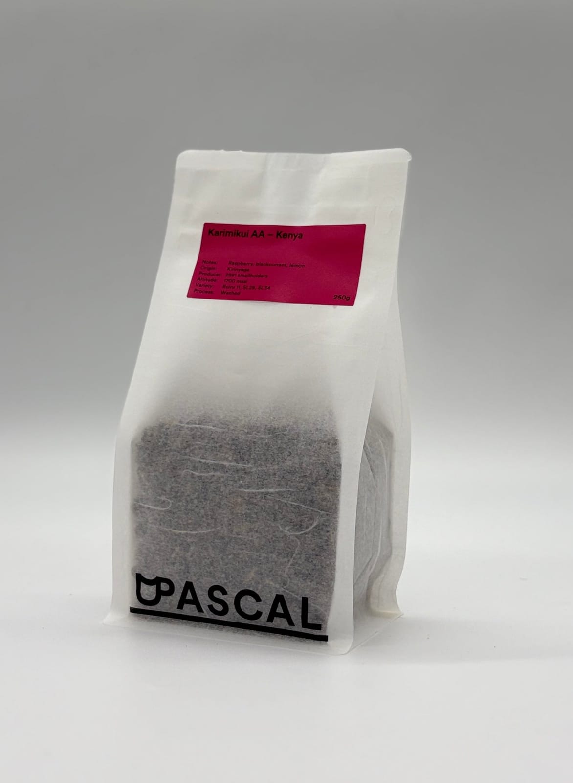 Pascal photo 6