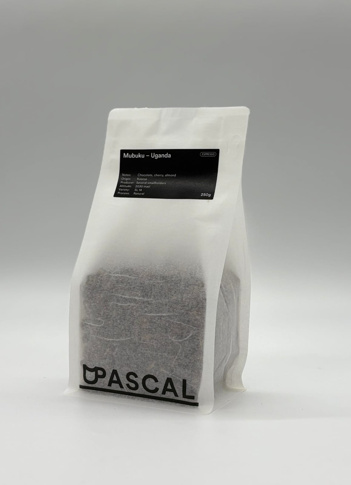 Pascal photo 4