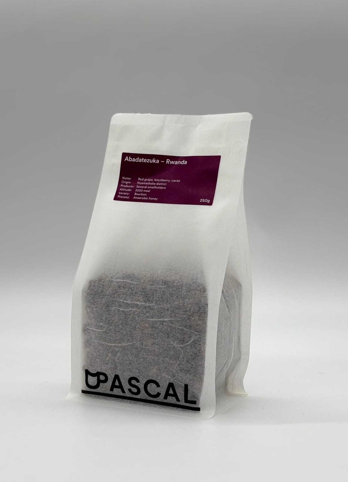 Pascal photo 7